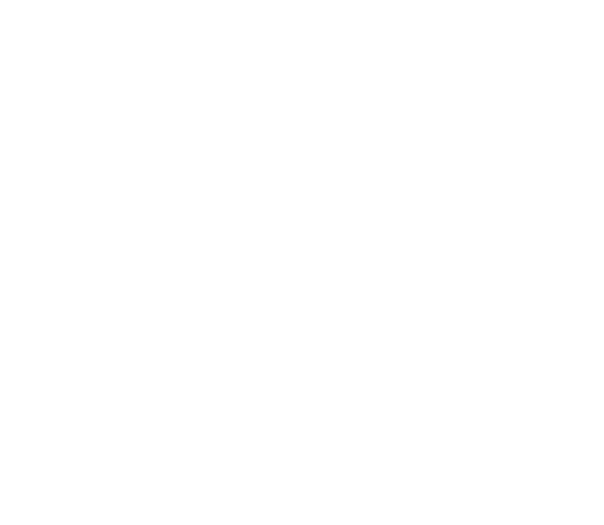 Yunohost logo