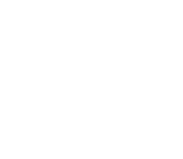Yunohost logo